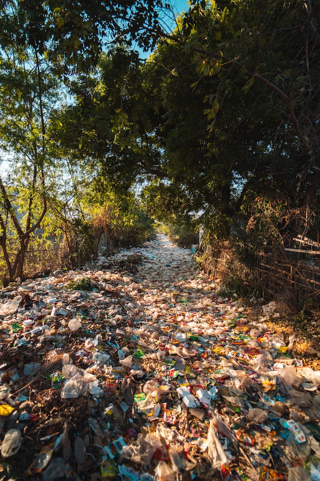 Decoding the Truth about Plastic Waste Disposal