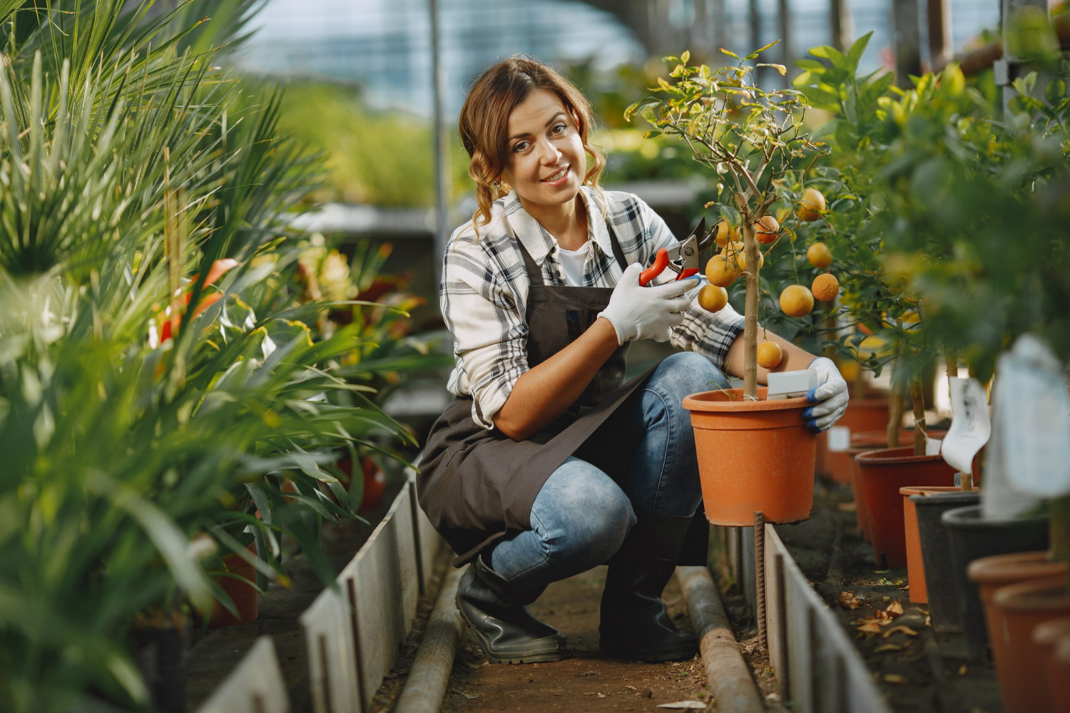 Ultimate Guide to Companion Planting Boost Garden Growth Pests