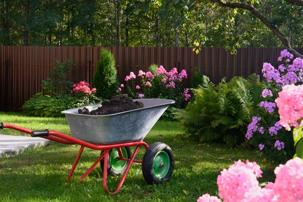 10 Simple Steps to Create Your Inaugural Yard Garden