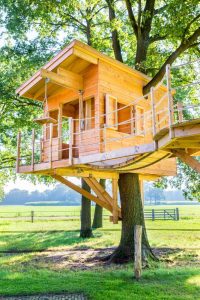 DIY Treehouse Ideas