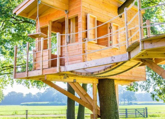 DIY Treehouse Ideas