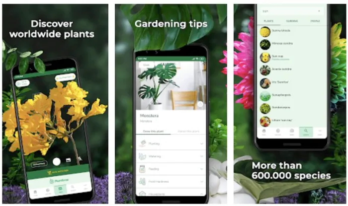 Gardening Apps and Phone Strategies: Effortless Plant Care and Expert Advice