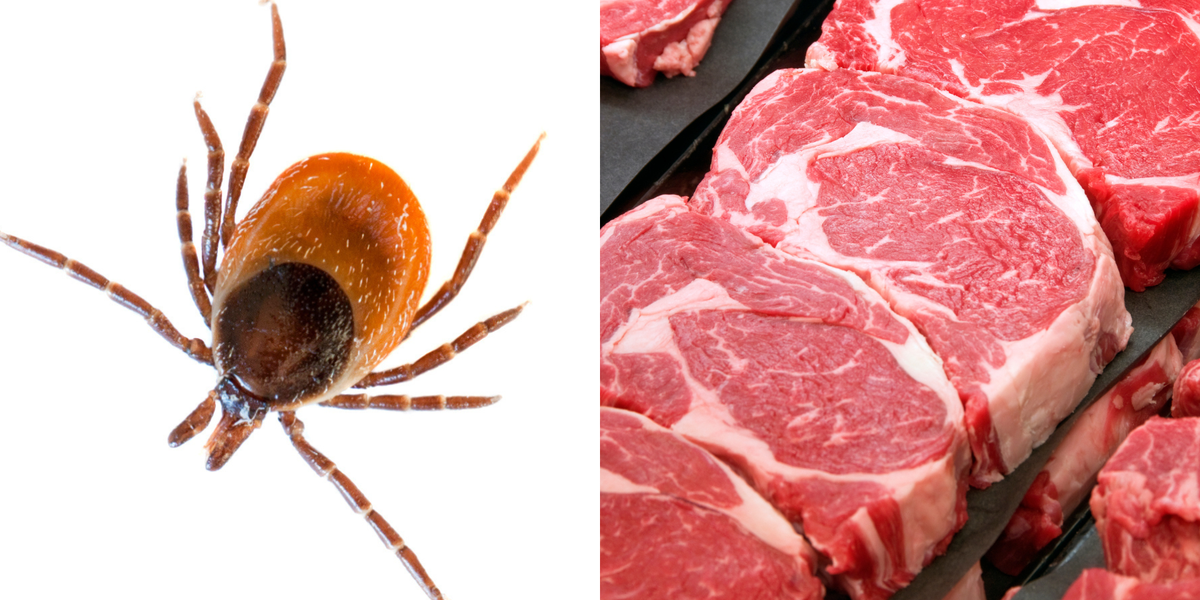 Allergic to the Grill: CDC Discovers Tick-Triggered Meat Allergy