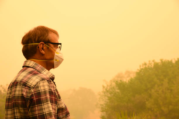 Navigating Sinus Problems Caused by Wildfire Smoke