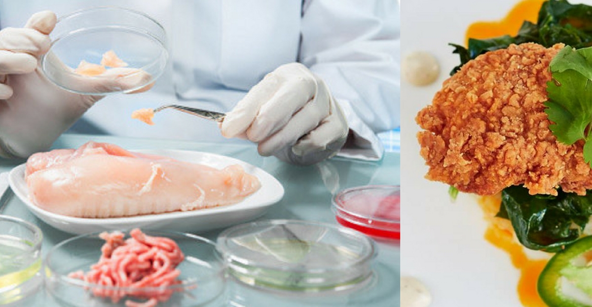 Lab-Grown Chicken: A Sustainable Protein Revolution