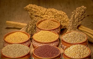 Value of Millet