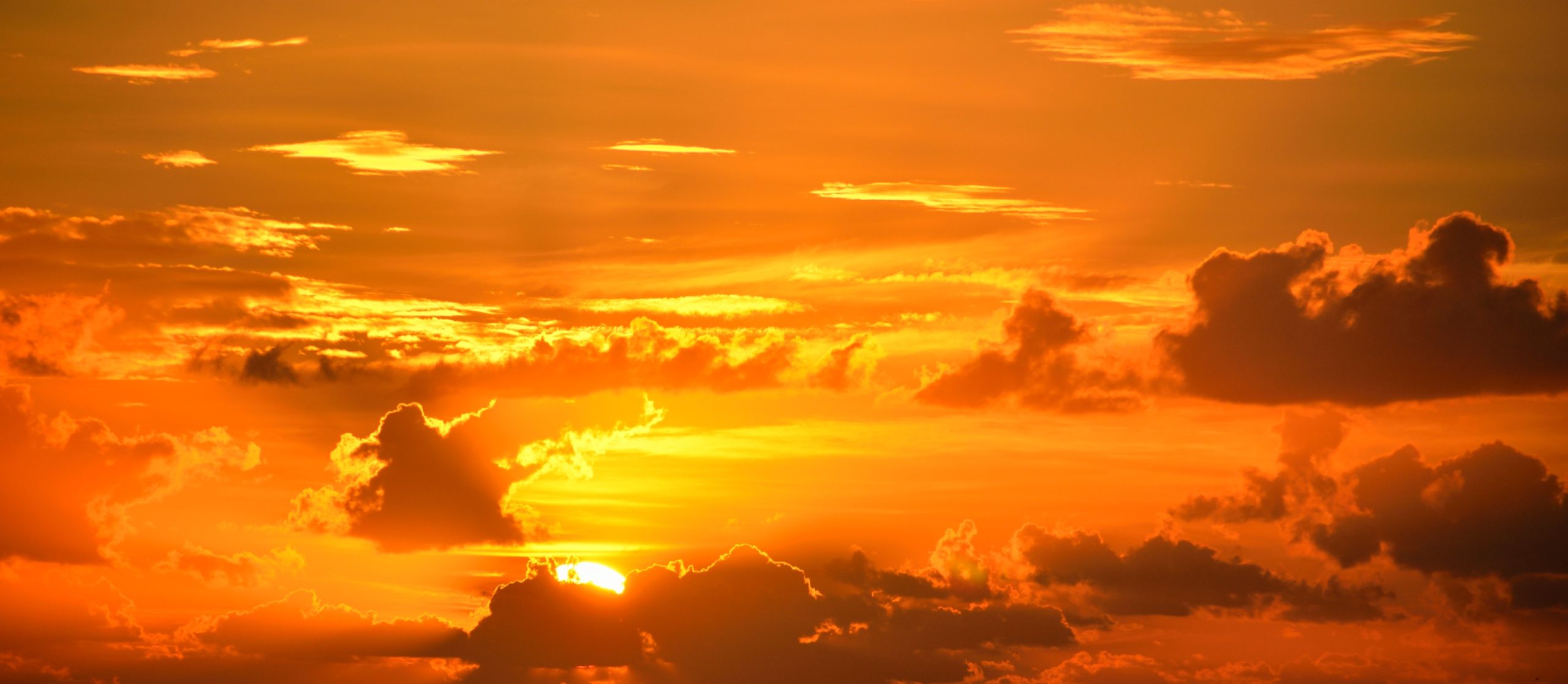 Painting the Sky: The Science Behind Wildfire Smoke’s Fiery Hue