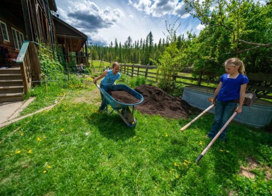 Homesteading