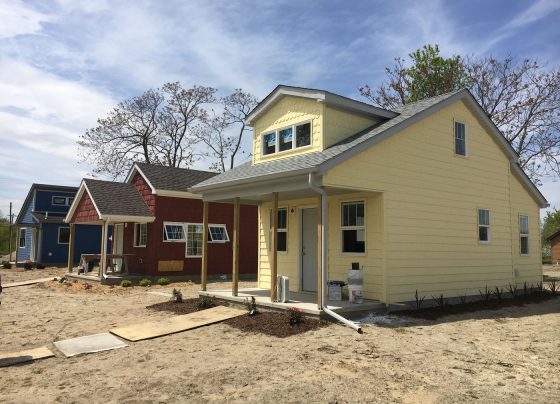 Detroit's Tiny House