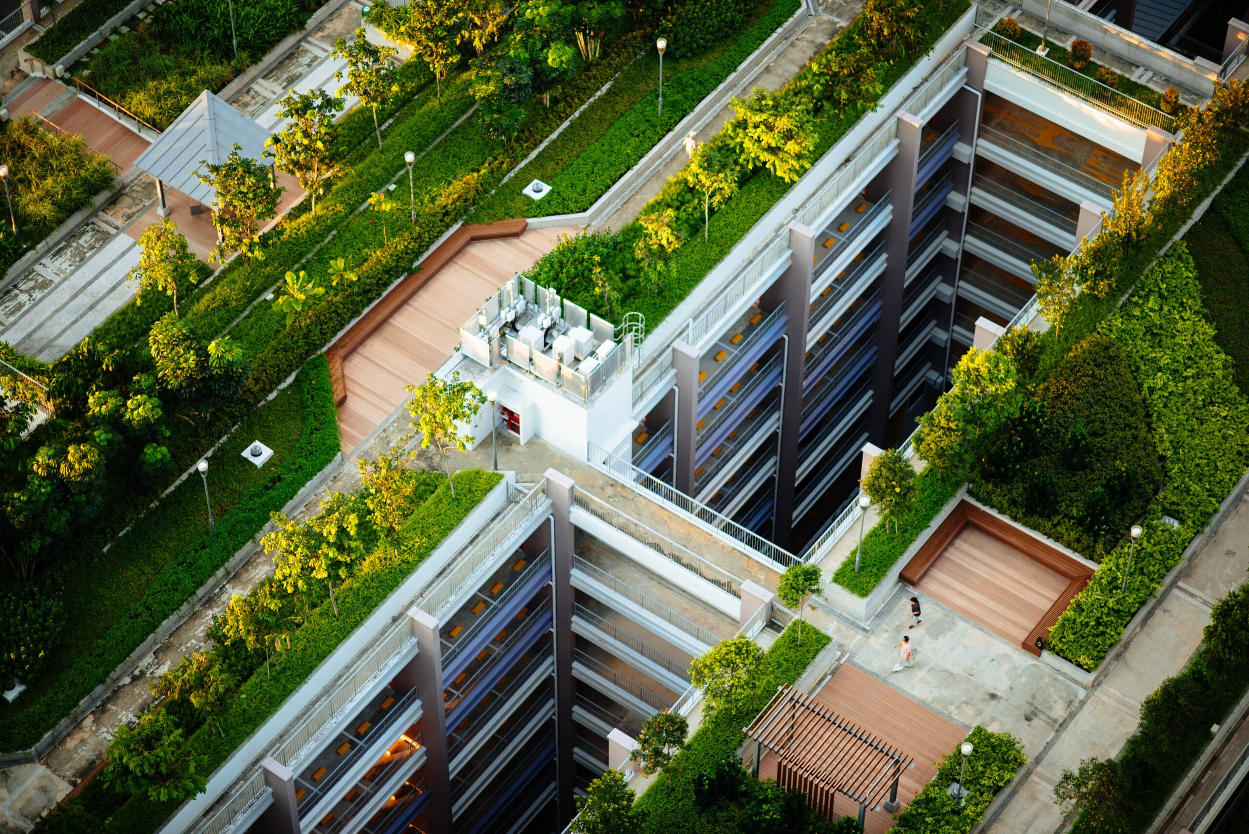 Sustainability Revolutionizing Real Estate: A New Era for Homebuyers and Investors