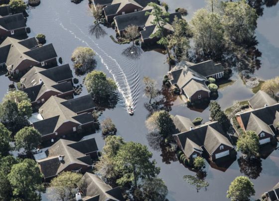 Climate Resilience in Real Estate