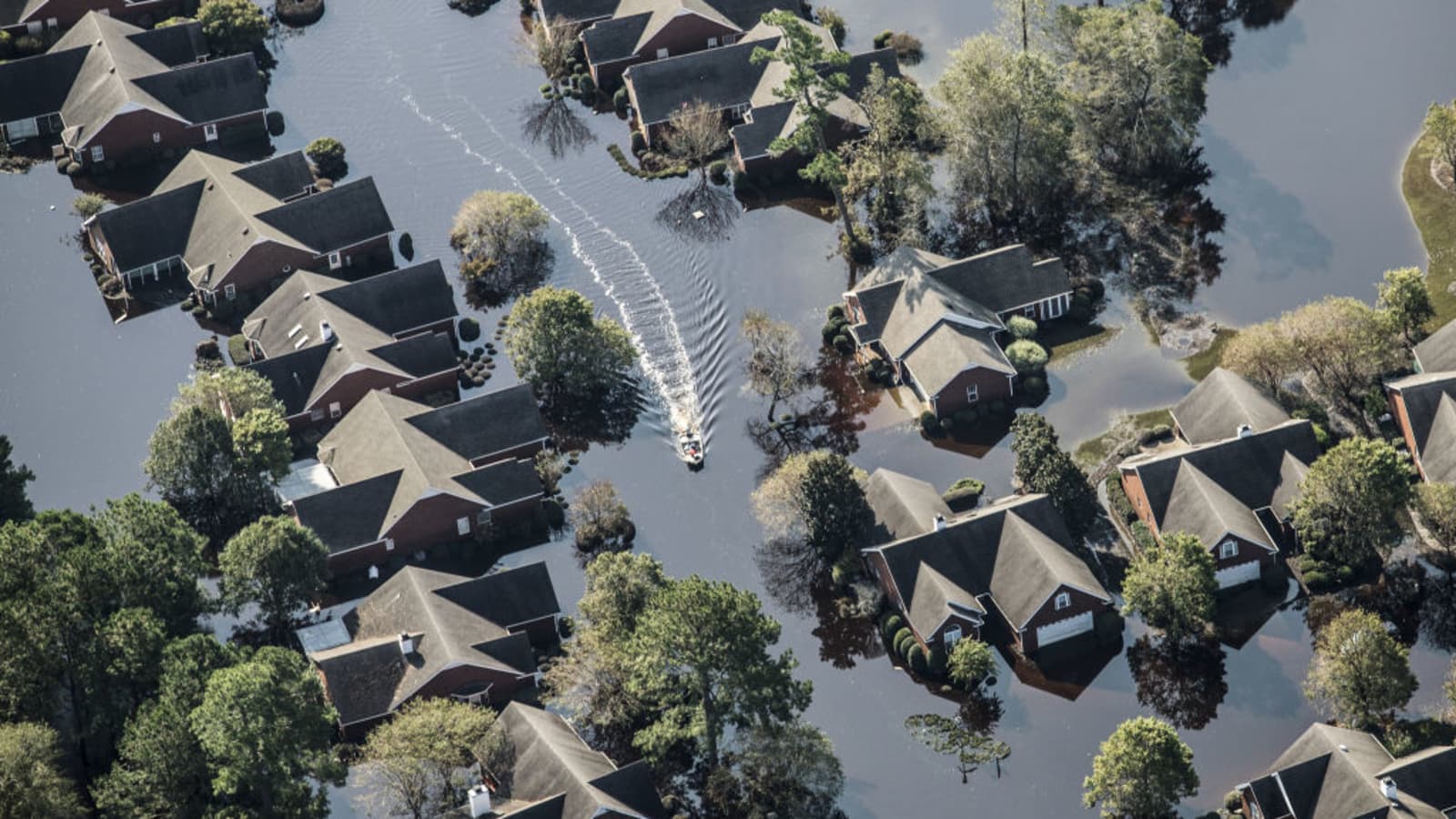 Climate Resilience in Real Estate: Preparing for the Future