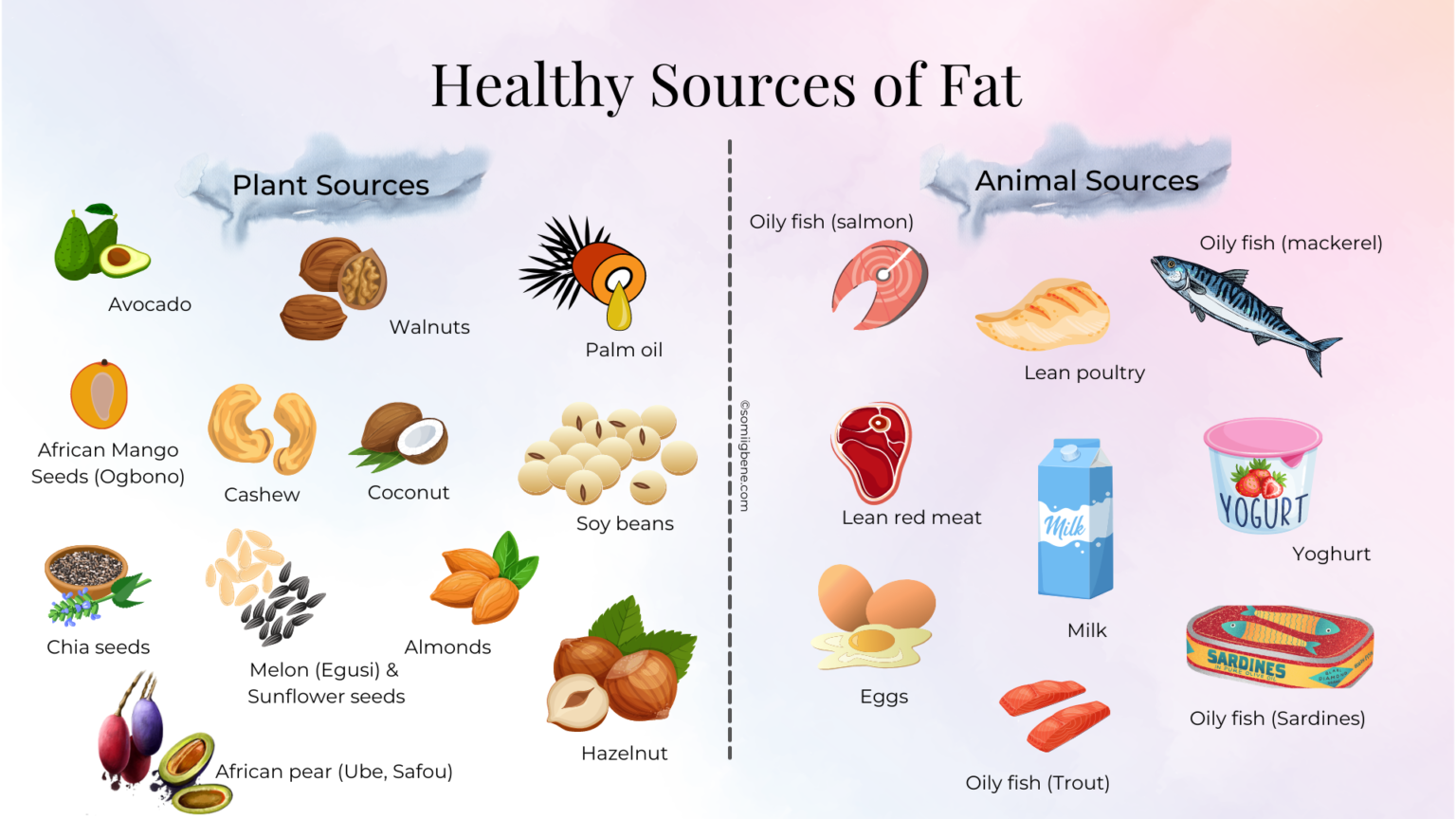 Eating Your Way to Healthy Cholesterol