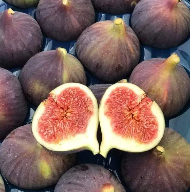 Figs for Radiant Beauty Glowing Skin and Stronger Hair