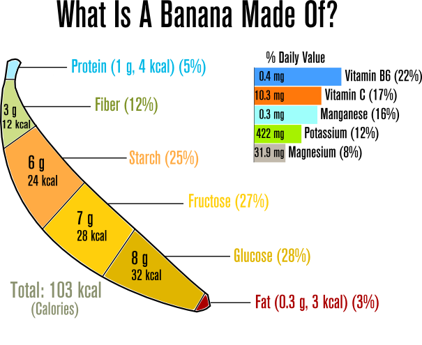 Bananas: Your Natural Source of Energy and Muscle Support