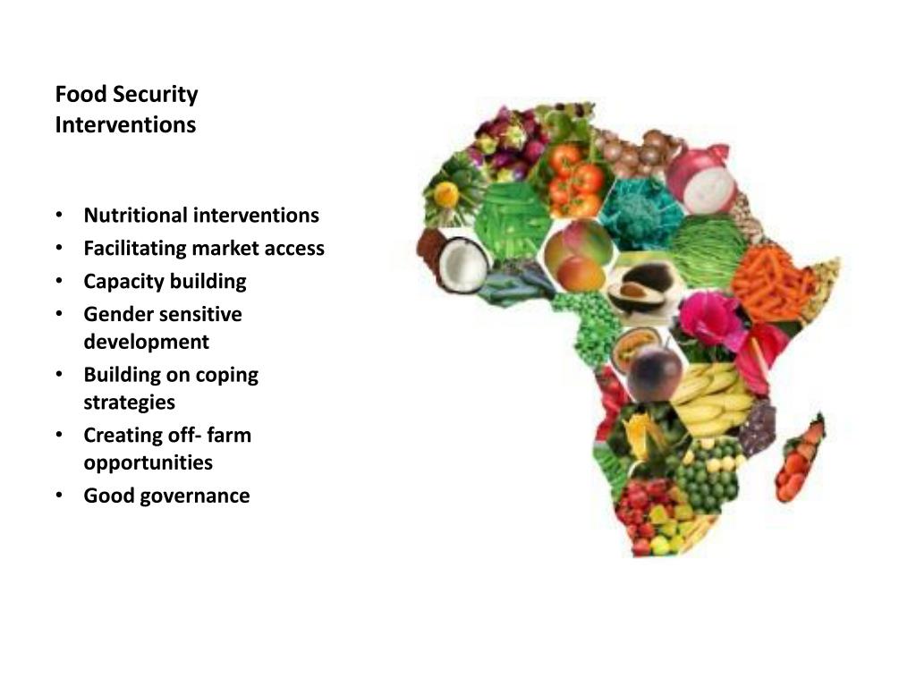 Navigating the Storm: Challenges to Food Security and the Road to Resilience