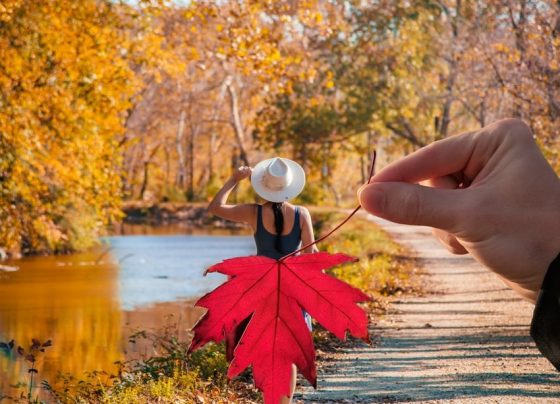 Autumn Photoshoot