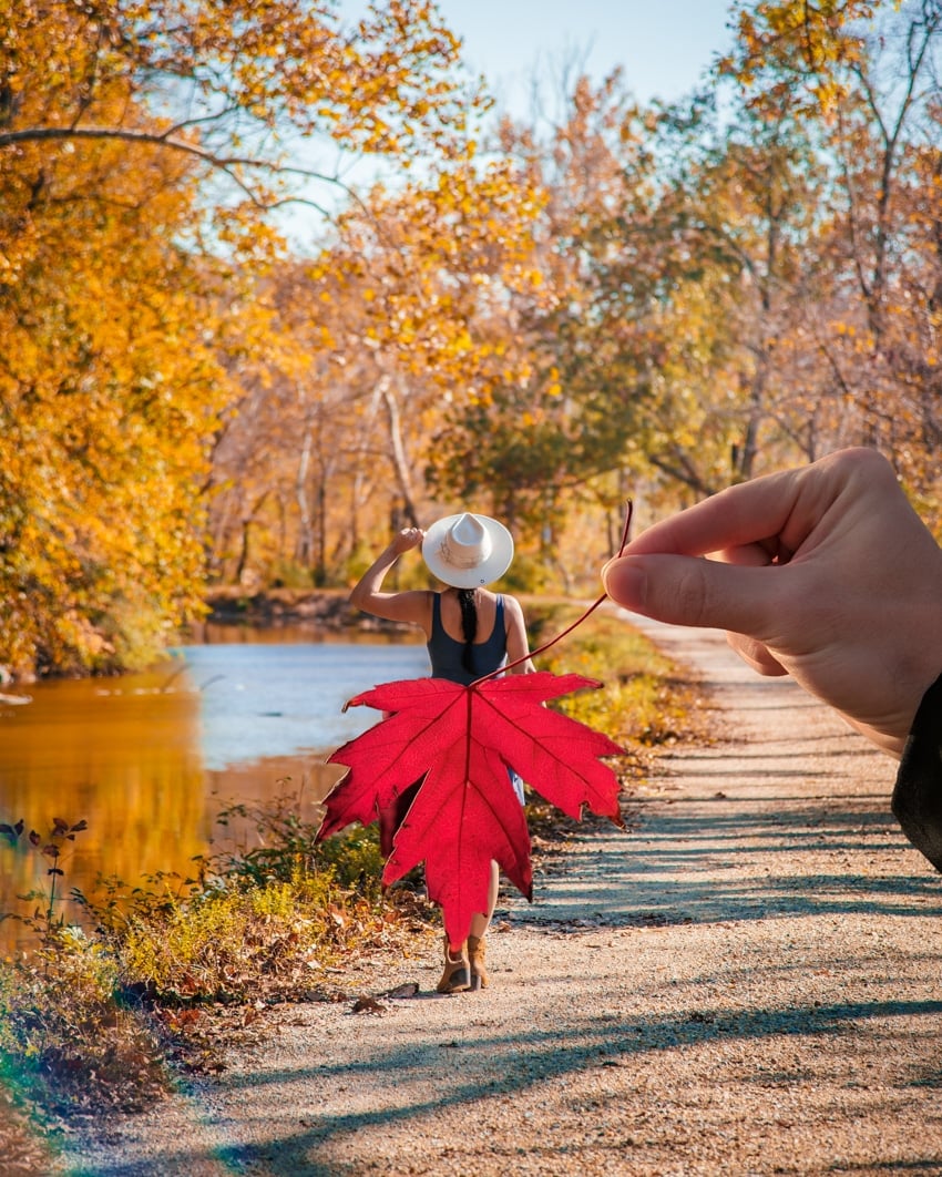 Falling for Photography: Unique Autumn Photoshoot Ideas