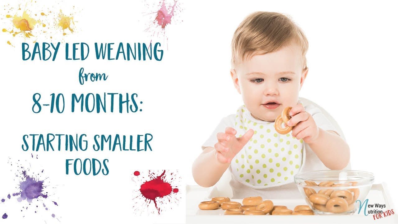 When to Start Baby-Led Weaning: Navigating the Appropriate Age and Signs