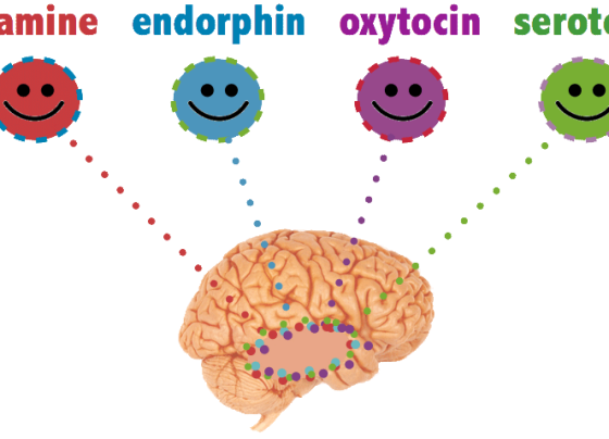 Brain Chemicals