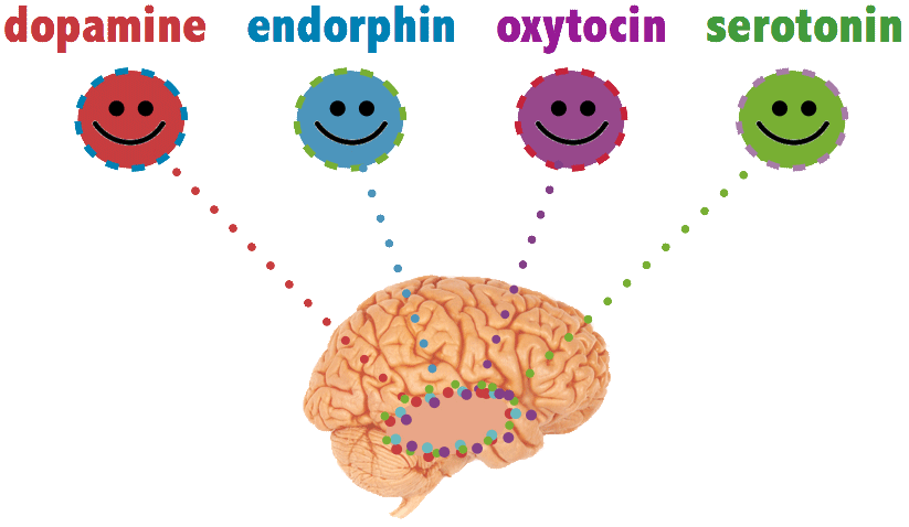 Neuro-Hacking Bliss: Unleashing Your Happy Brain Chemicals