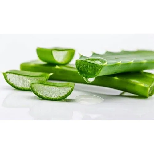 DIY Aloe Vera Gel: Backyard Beauty Secrets