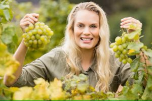 Grape Storage Techniques for Ultimate Flavor