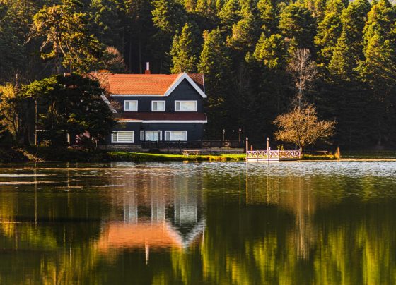 Homes Offering Serene Views