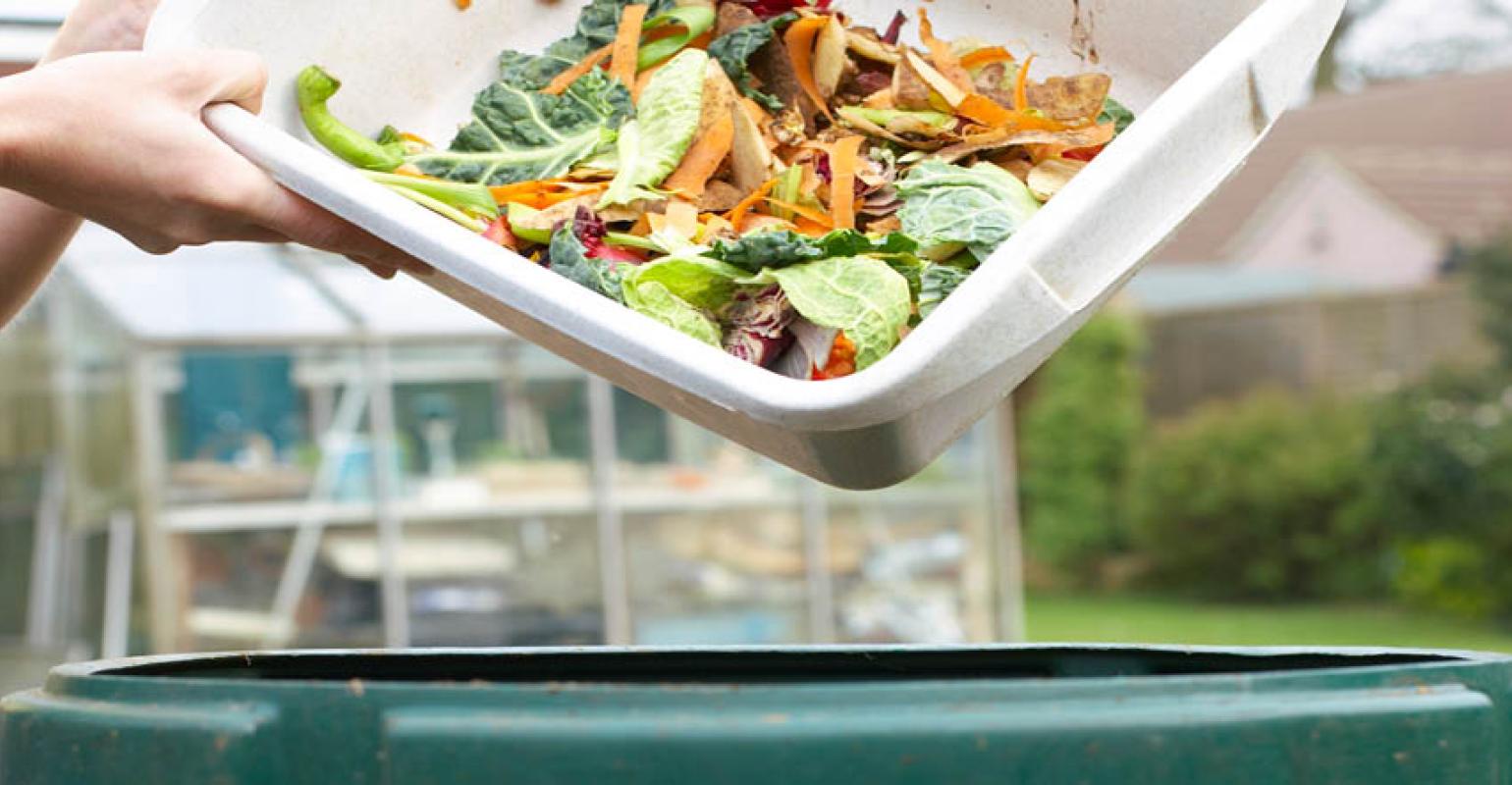 Policy Perspectives on Food Waste: Analyzing Government Initiatives in the United States