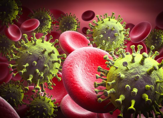 Breakthrough Against Resistant Gonorrhea