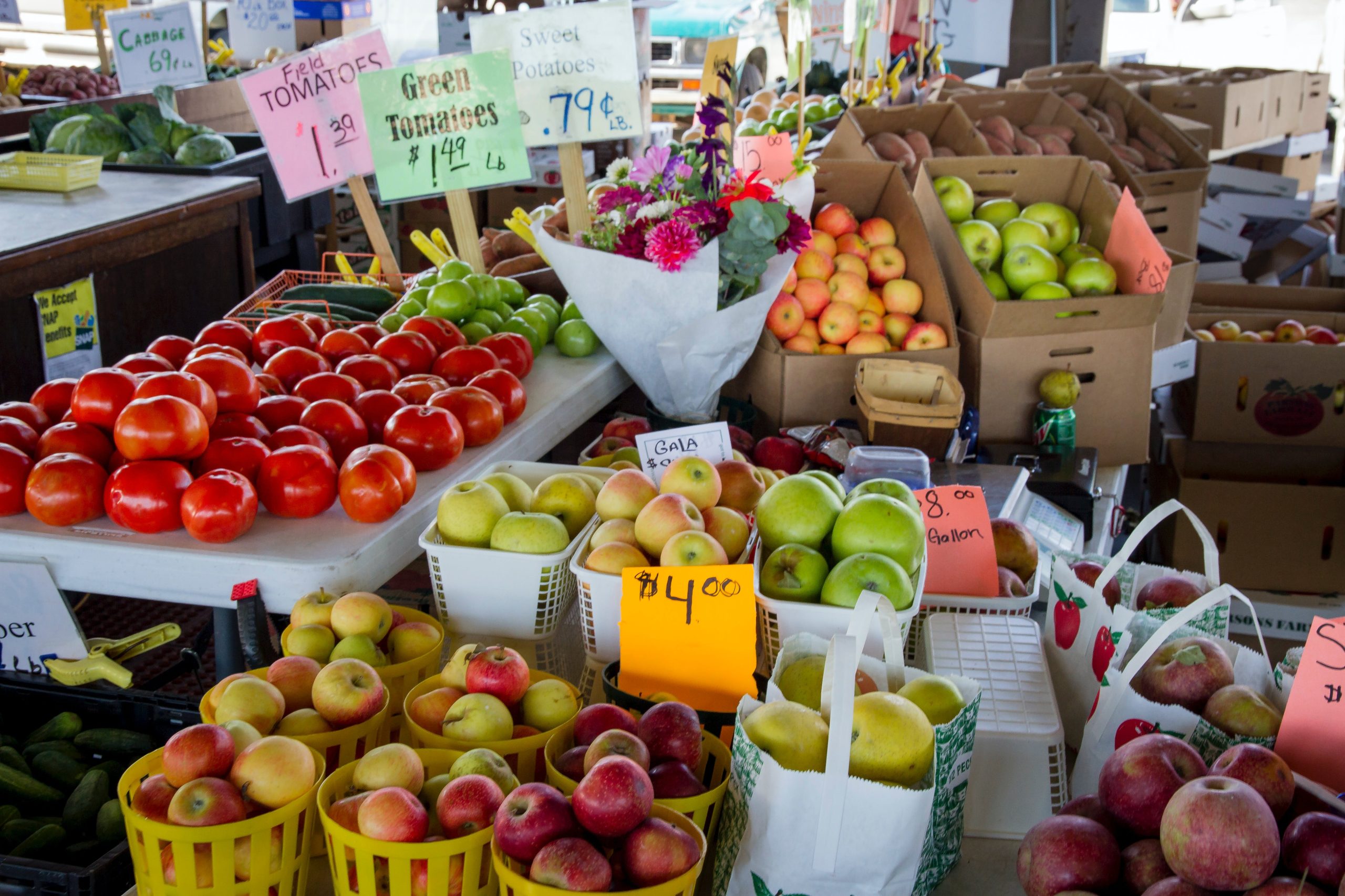 Exploration into the Rich Harvest of Flavors