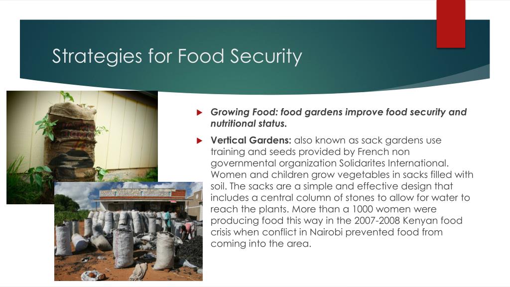 Strategies for Addressing Hunger: Achieving Food Security