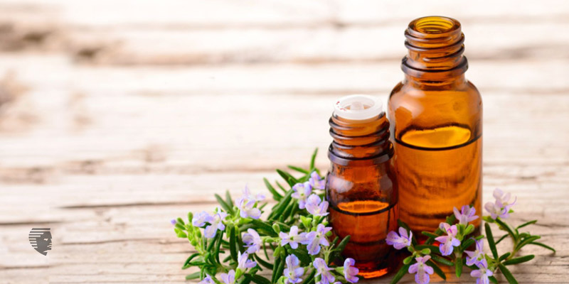 Rosemary Oil Magic: Natural Hair Growth Boost