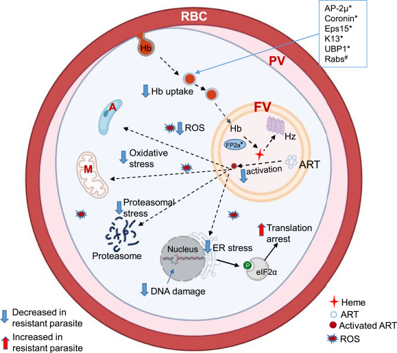 Unveiling Parasitic Vulnerabilities: Targeting Metabolism for Innovative Anti-Parasitic Therapies