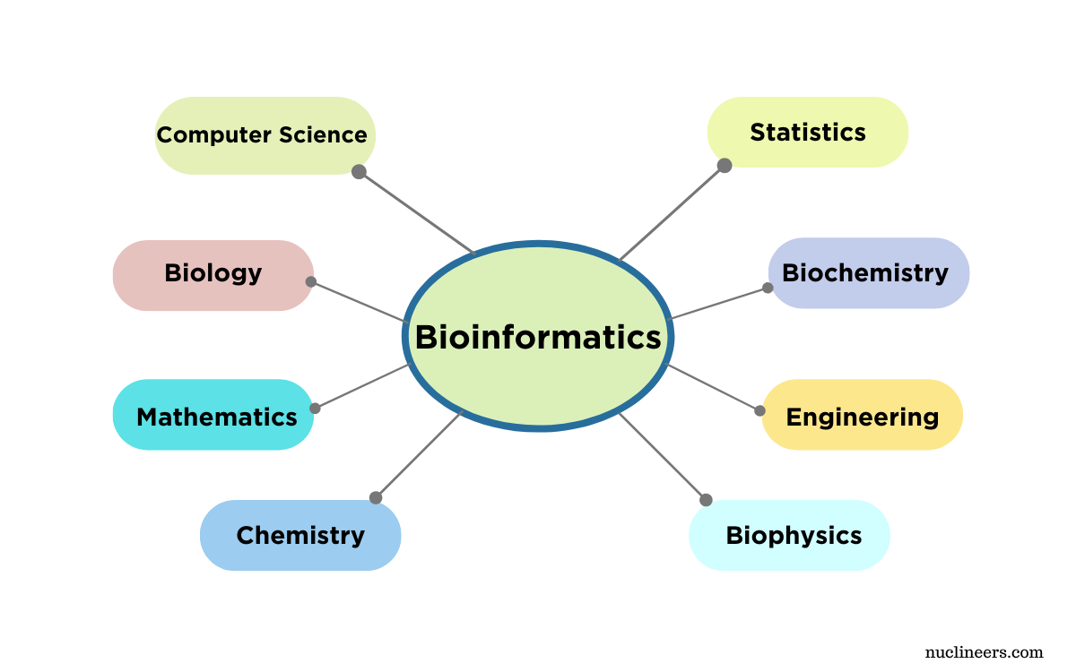 Bioinformatics: Merging Biology with Computational Power