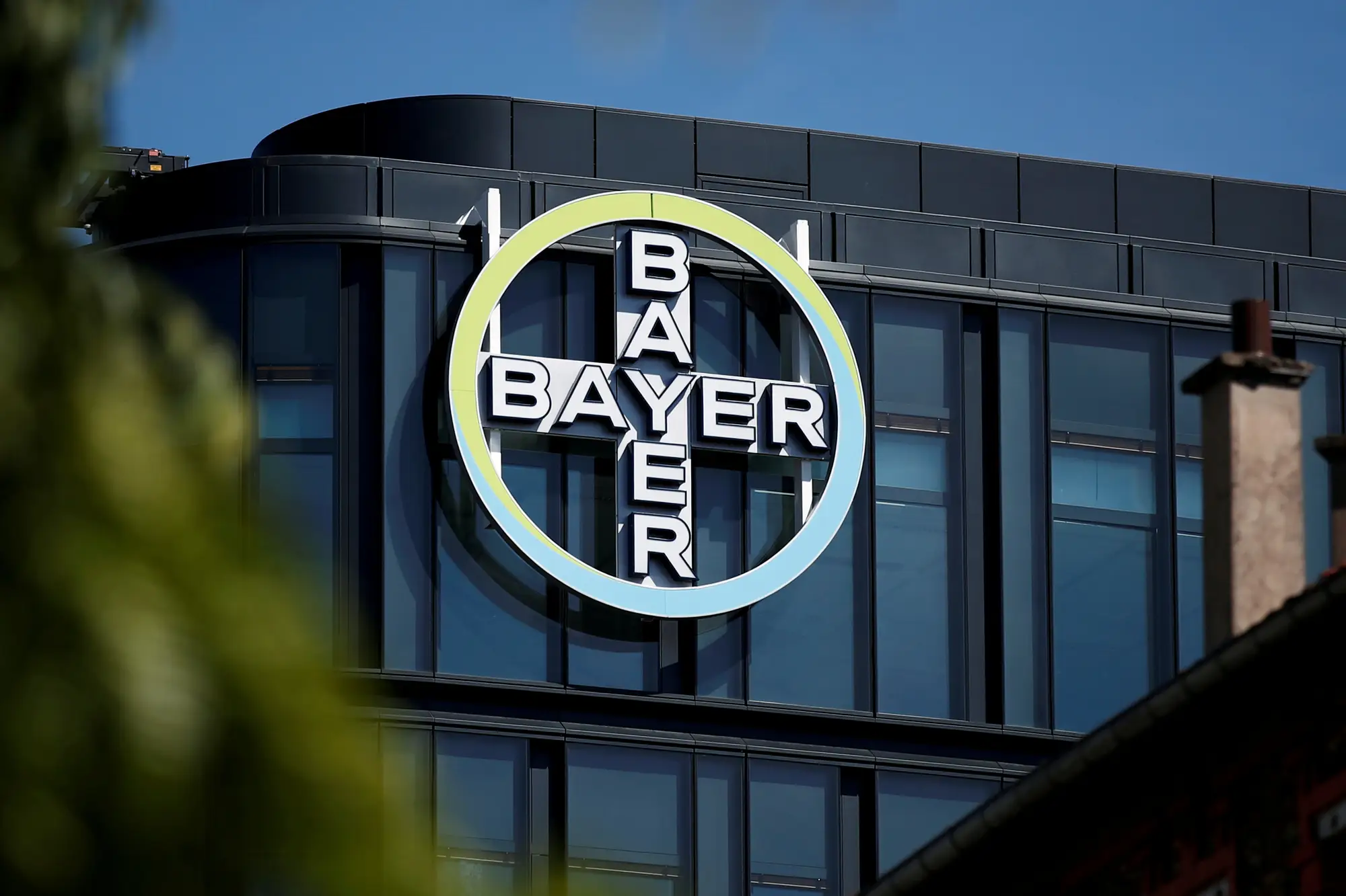 Bayer’s Blood-Thinner Trial Halted: Shares and Industry Impact