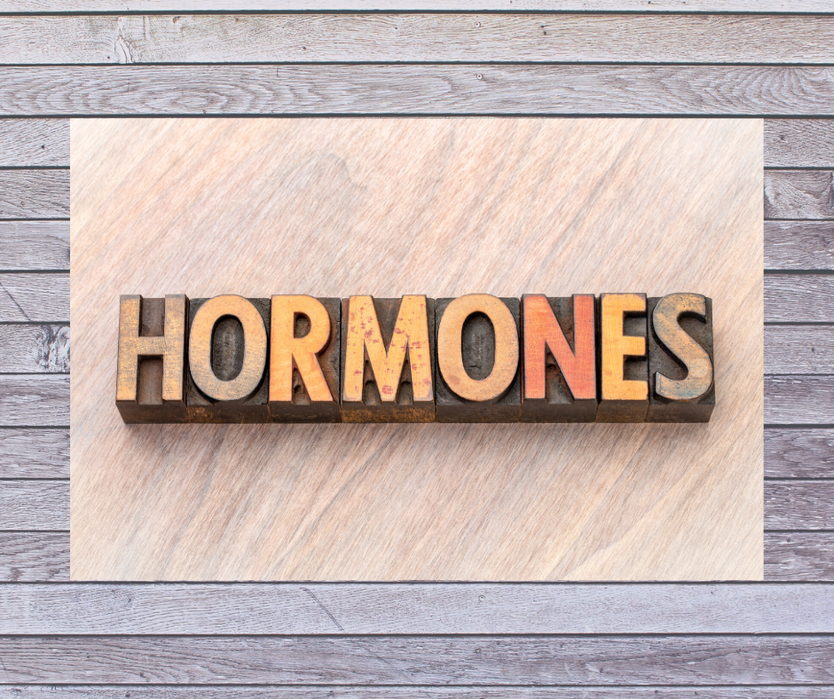 Cracking the Code: Understanding How Hormones Shape Our Lives