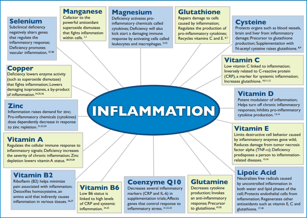 Optimal Health Through Nutrition: Key Foods and Nutrients in an Anti-Inflammatory Eating Plan