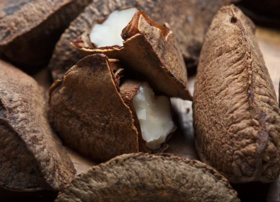 Health Marvels of Brazil Nuts