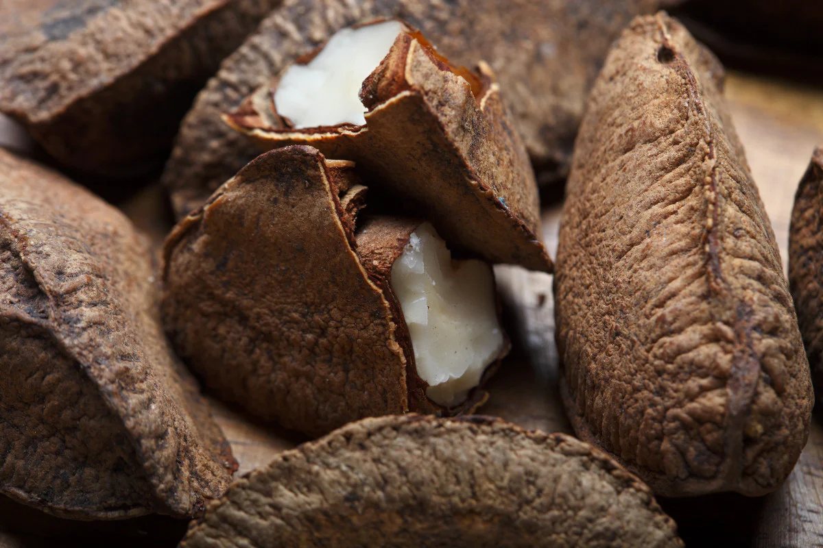 Unlocking the Health Marvels of Brazil Nuts: Dr. Rhonda Patrick’s Insights into a Nutrient-Rich Lifestyle