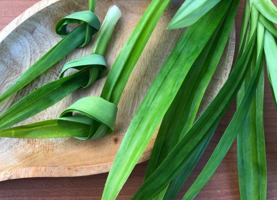 Pandan Leaves