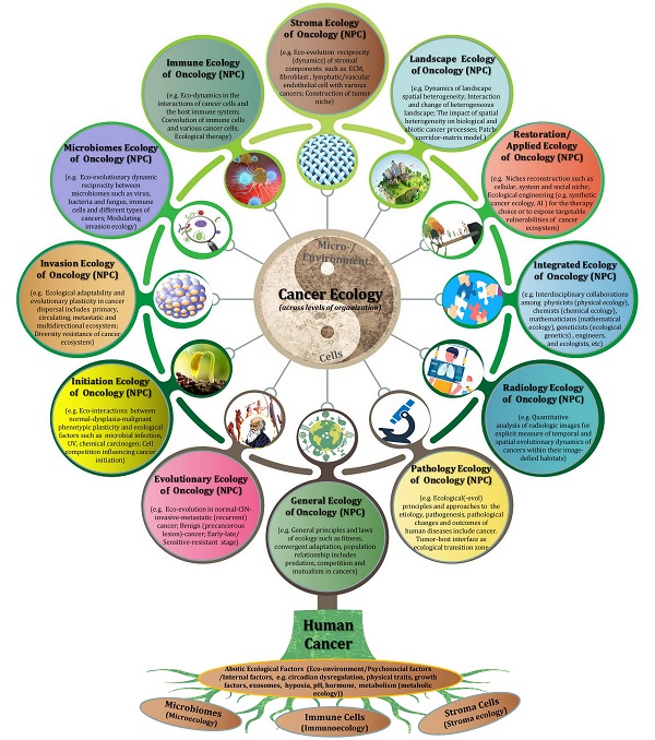 Decoding Cancer’s Metabolic Adaptations: A Pathway to Targeted Therapies