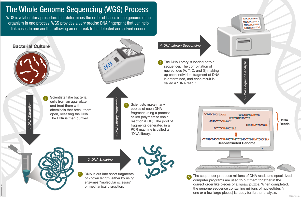 Britain’s Largest-Ever Genetic Sequencing Release Poised