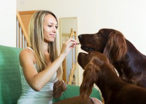  Pill Prolong Your Pet's Joy