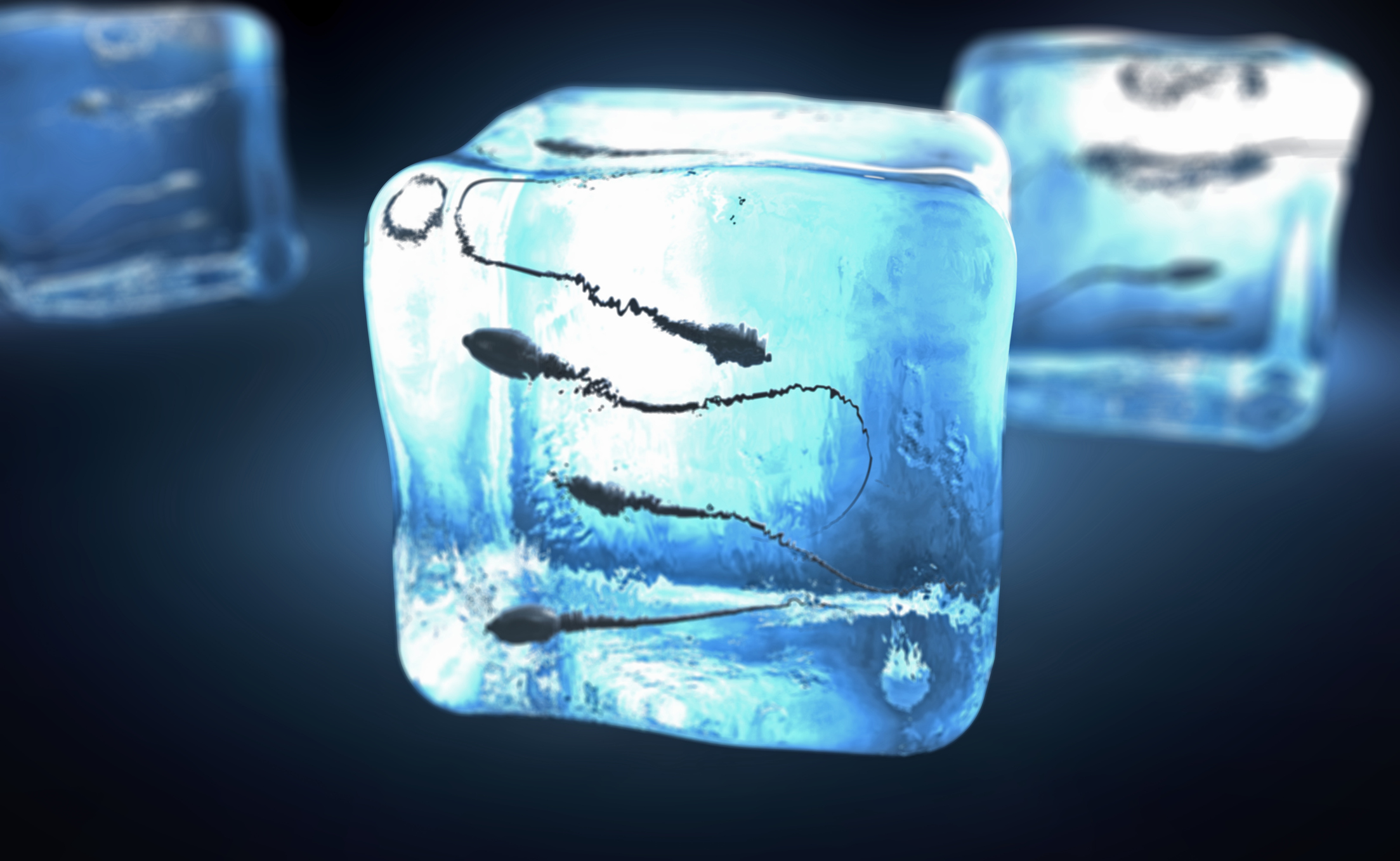 What to know About Freezing Sperms