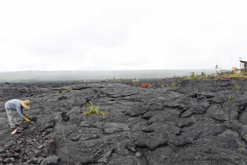 Lava-Proof Homes: The Sizzling Hot Real Estate Market