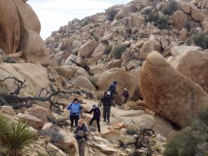 Eagle Cliff Mine: Relics of a Desert Legacy