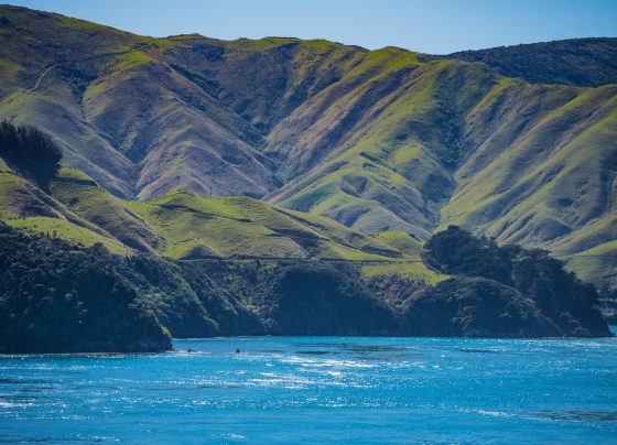 New Zealand's breathtaking South Island.