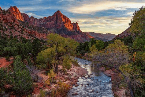 Uncharted Unveiling Hidden Gems in Joshua Tree National Park