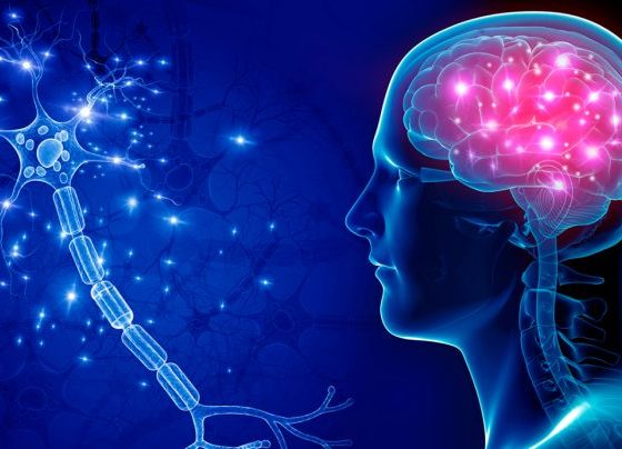 Central Nervous System